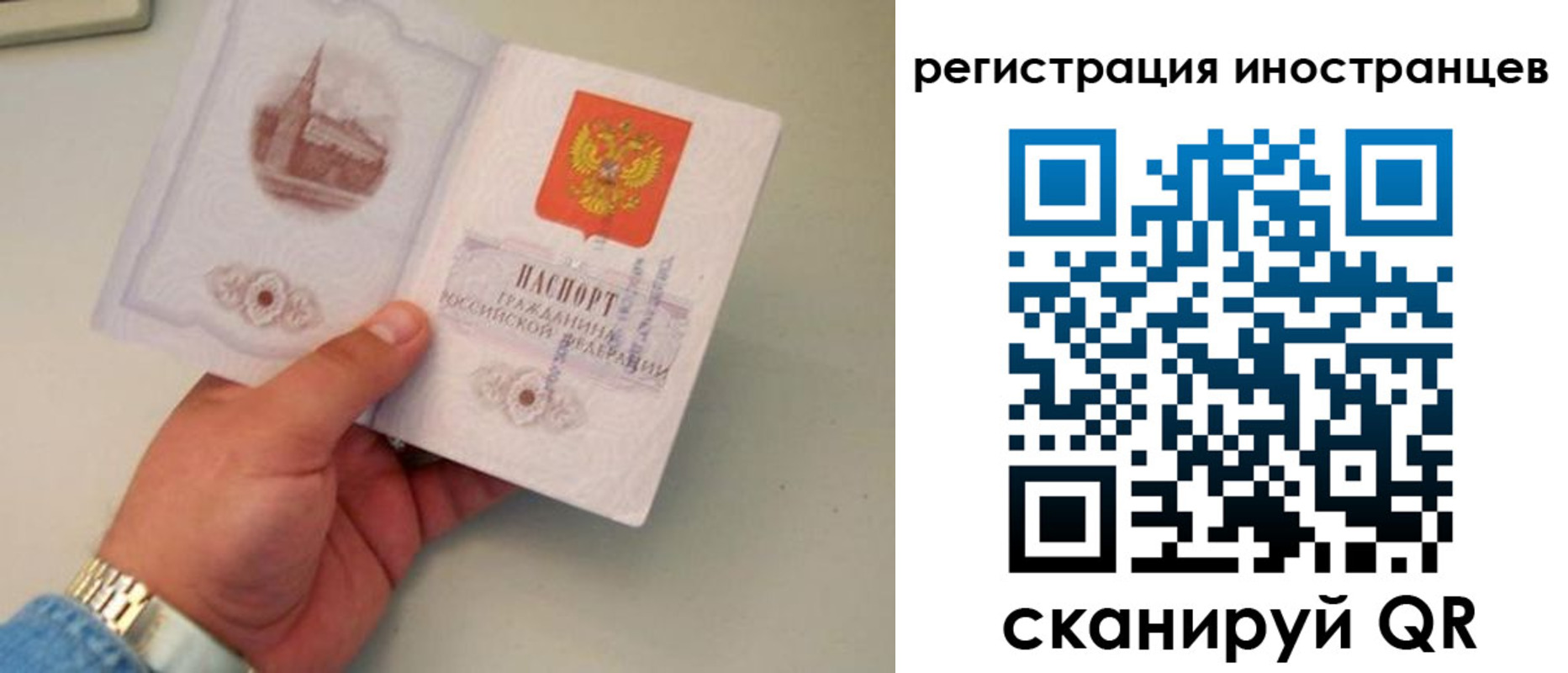регистрация для школы в Куртамыше